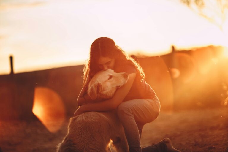 Un refugio de amor 