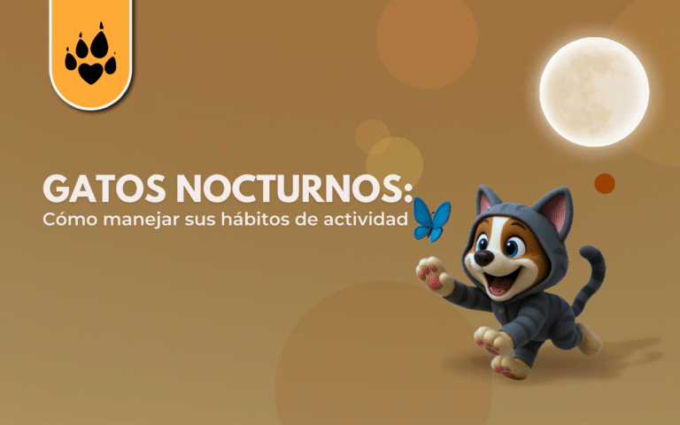 🌙😼 Gatos nocturnos: Cómo manejar sus hábitos de actividad