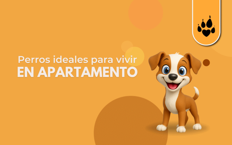 🐾 Blog Lanudos: Perros ideales para vivir en apartamento