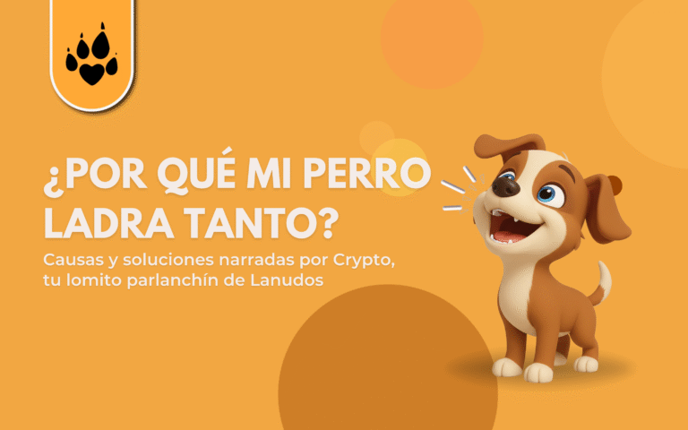 🐕 ¿Por qué mi perro ladra tanto?