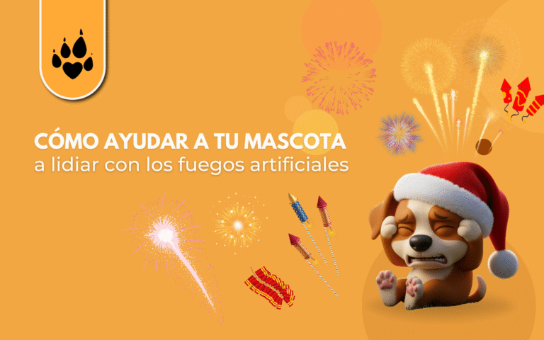 Cómo ayudar a tu mascota a lidiar con los fuegos artificiales 
