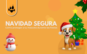   🎄🐾 Navidad segura: cómo proteger a tu mascota durante las fiestas 