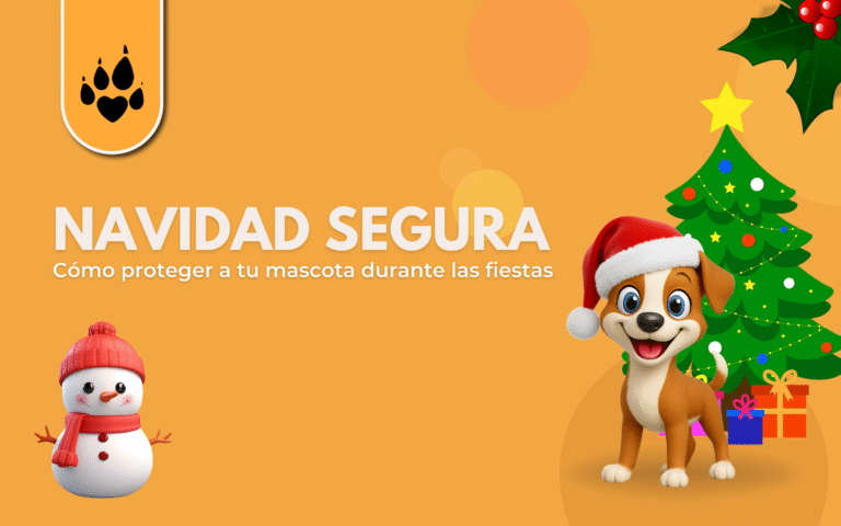   🎄🐾 Navidad segura: cómo proteger a tu mascota durante las fiestas 