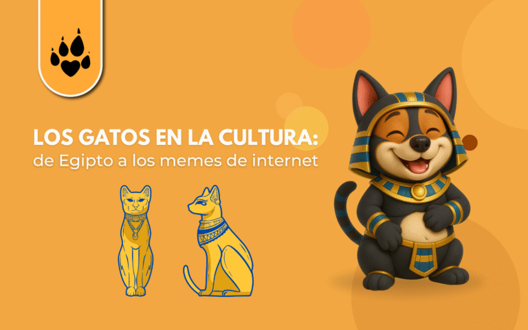 🐾🐱 Los gatos en la cultura: de Egipto a los memes de internet 