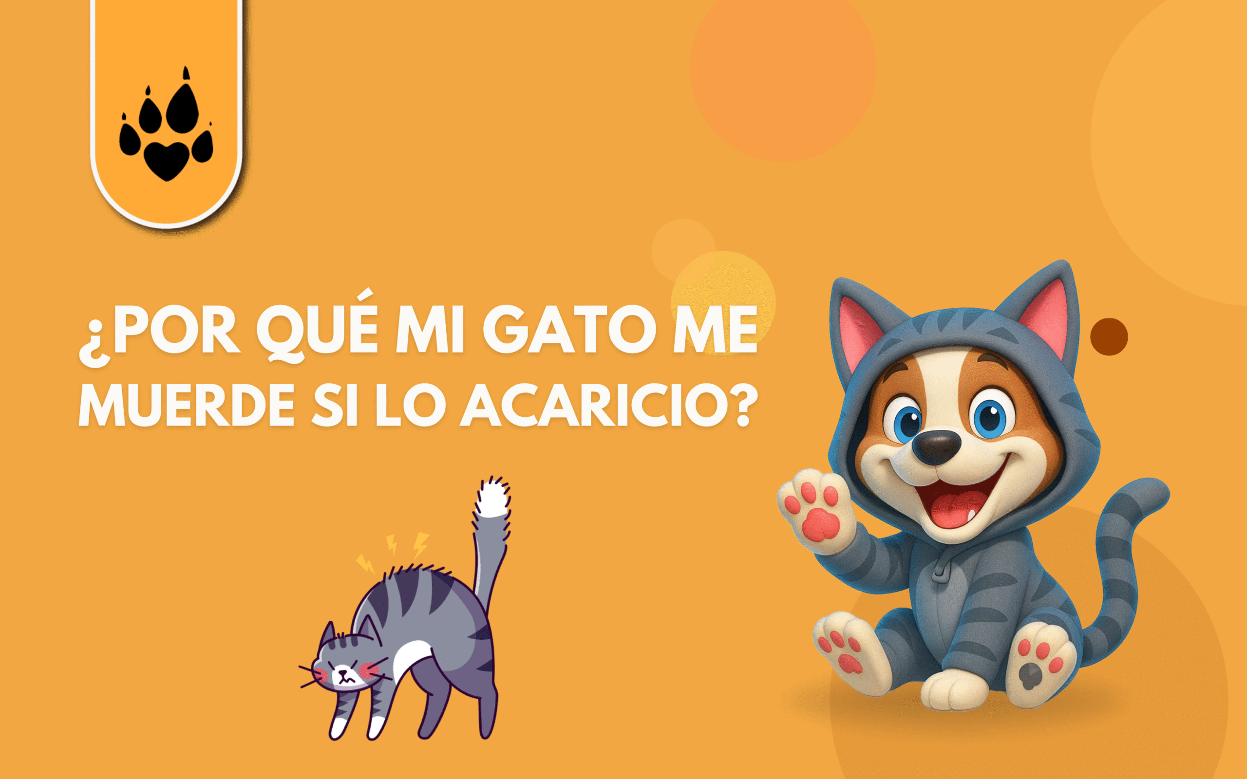 😼🐾 ¿Por qué mi gato me muerde si lo acaricio? 