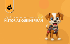 🐕‍🦺 ¿Qué hace un perro rescatista? Historias que inspiran 