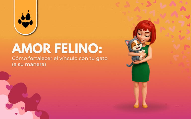 💗 Amor felino: cómo fortalecer el vínculo con tu gato 