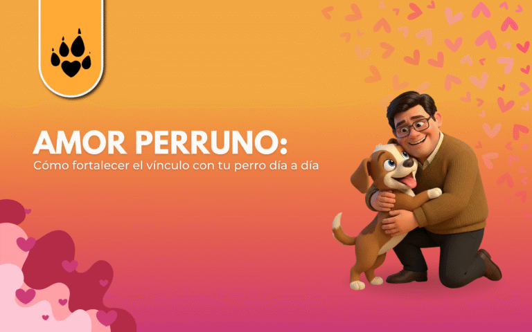 Amor perruno: cómo fortalecer el vínculo con tu perro día a día 