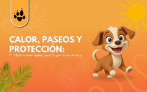 ☀️ Calor, paseos y protección: Cuidados esenciales para tu perro en verano 