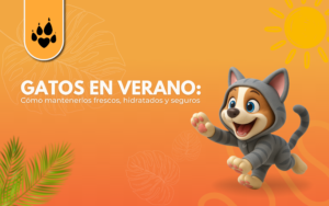 ☀️🐱 Gatos en verano: cómo mantenerlos frescos, hidratados y seguros 