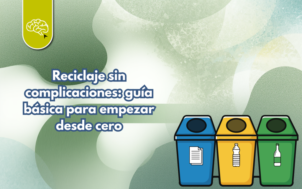 ♻️ Reciclaje sin complicaciones: guía básica para empezar desde cero