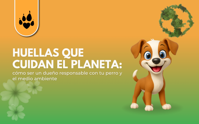 🌱 Huellas que cuidan el planeta: cómo ser un dueño responsable con tu perro y el medio ambiente 
