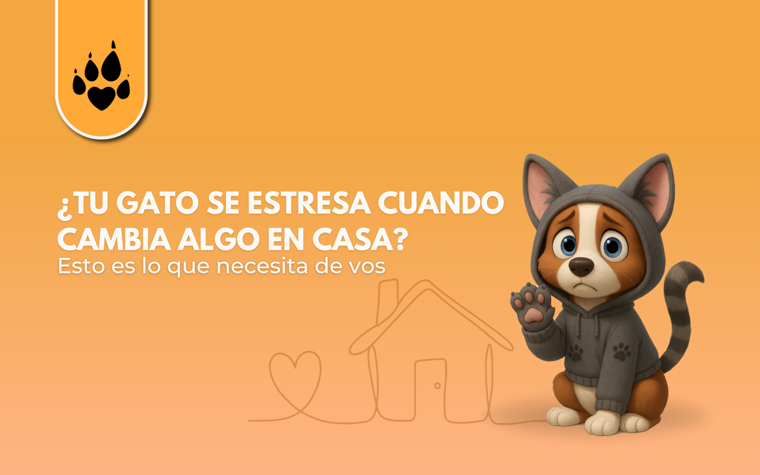 ¿Tu gato se estresa cuando cambia algo en casa? Esto es lo que necesita de vos 
