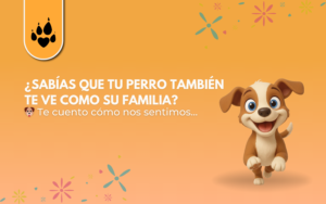 ¿Sabías que tu perro también te ve como su familia? 🐶 Te cuento cómo nos sentimos 