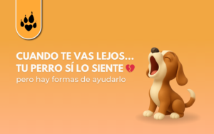 Cuando te vas lejos… tu perro sí lo siente