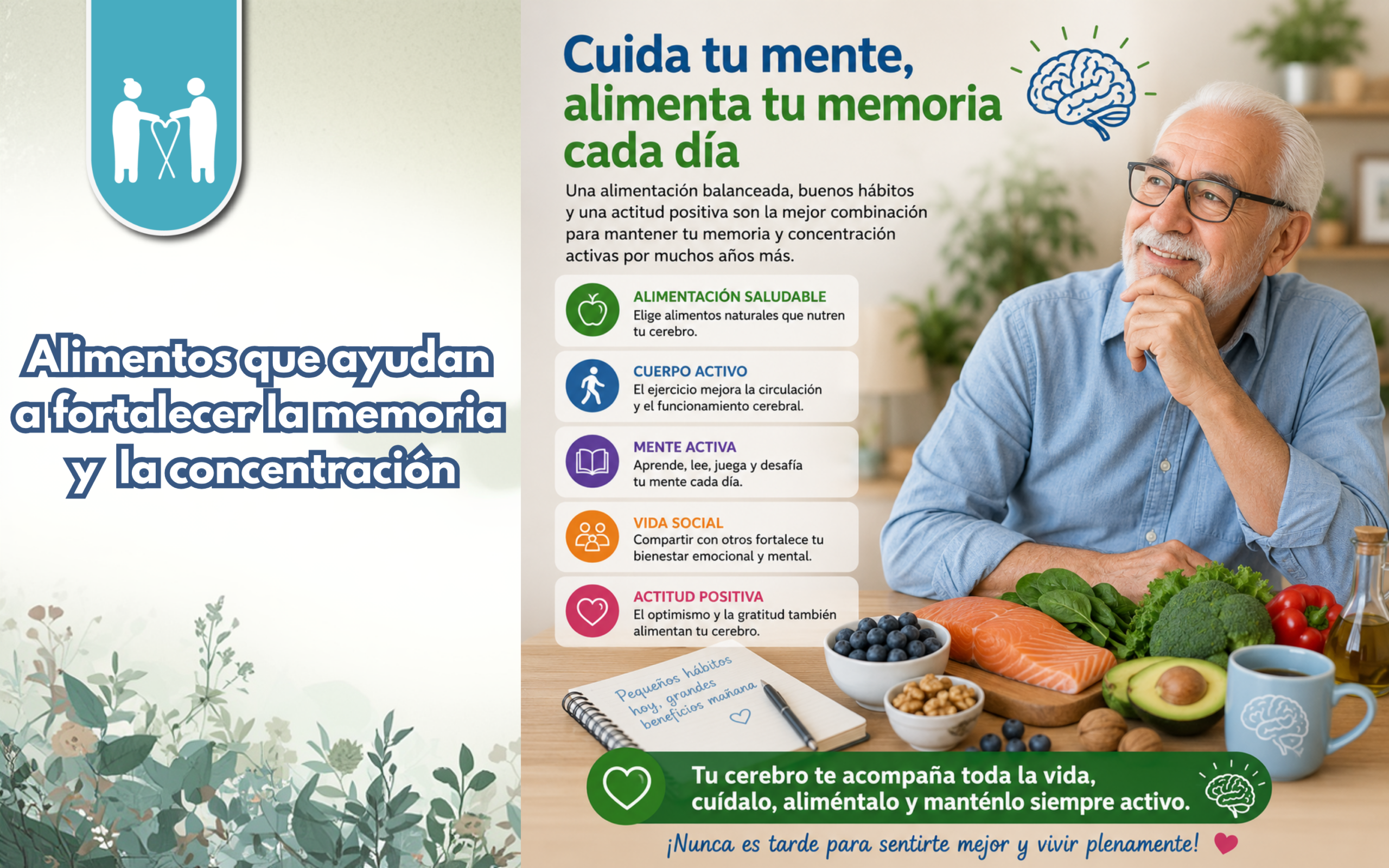 Alimentos que ayudan a fortalecer la memoria y la concentración