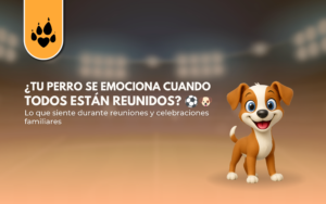 ¿Tu perro se emociona cuando todos están reunidos?