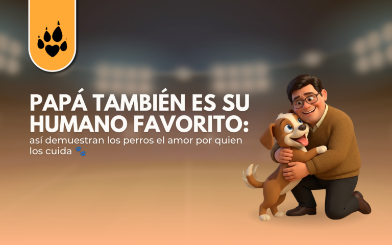 Papá también es su humano favorito: