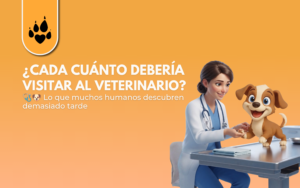 ¿Cada cuánto debería visitar al veterinario?