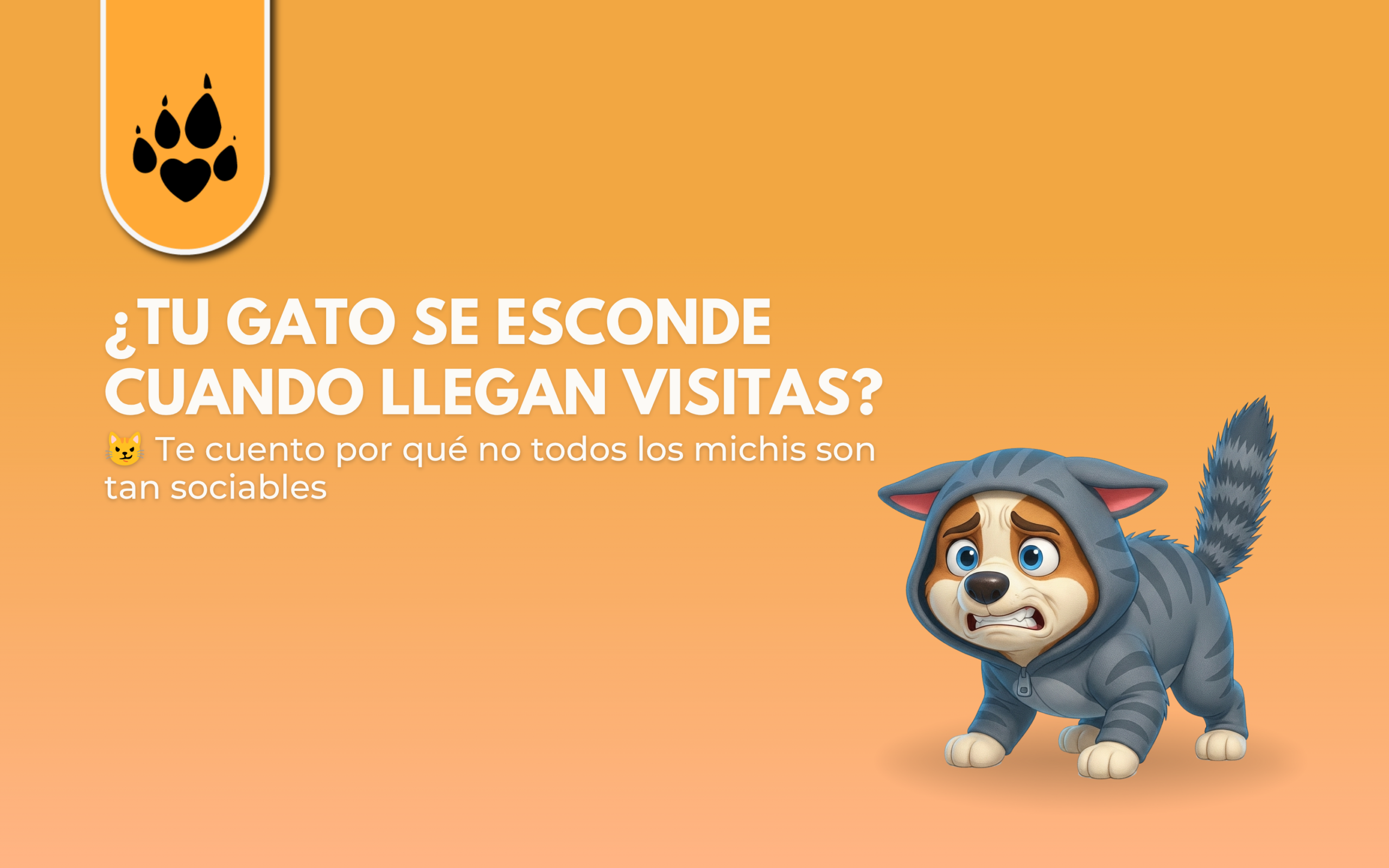 ¿Tu gato se esconde cuando llegan visitas?