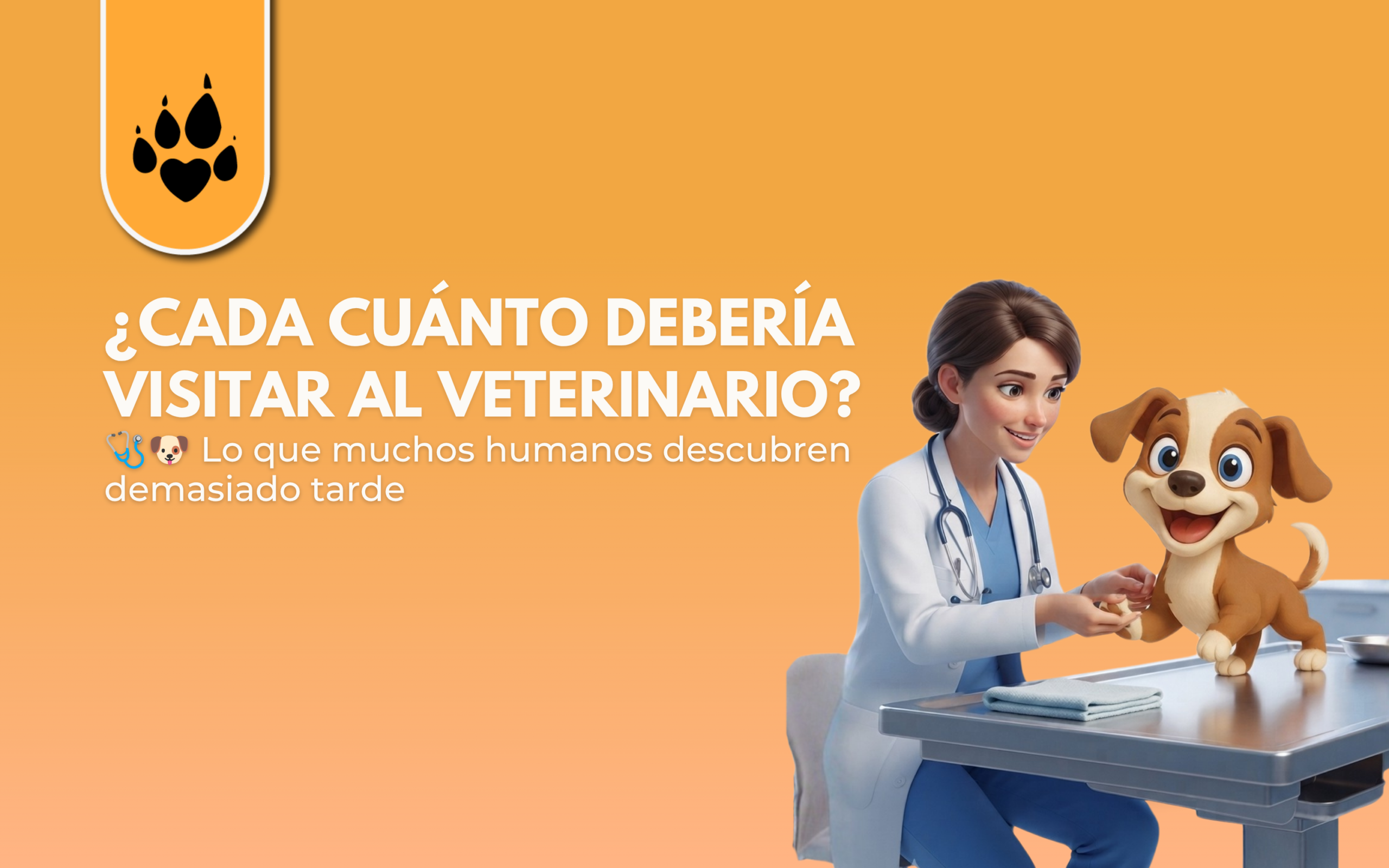 ¿Cada cuánto debería visitar al veterinario?