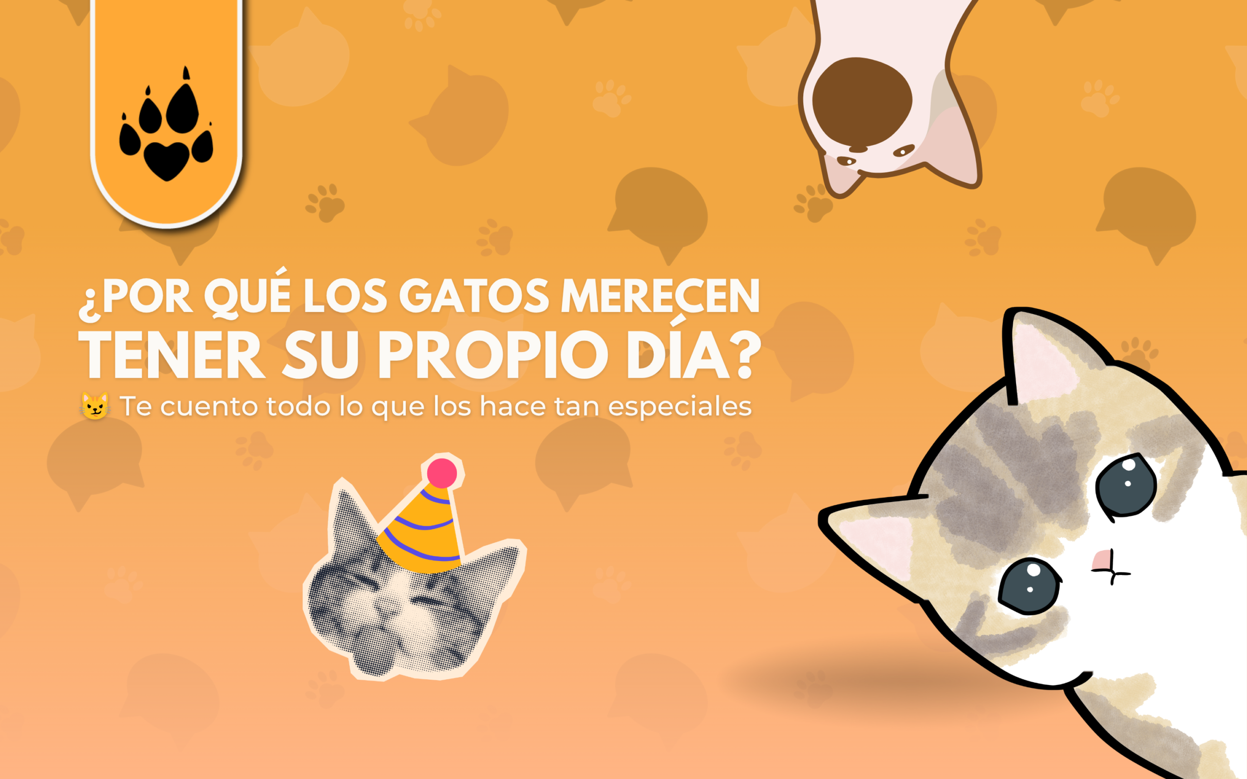¿Por qué los gatos merecen tener su propio día?