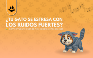 ¿Tu gato se estresa con los ruidos fuertes?
