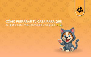 Cómo preparar tu casa para que tu gato esté más cómodo y seguro