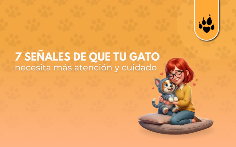 7 señales de que tu gato necesita más atención y cuidado 